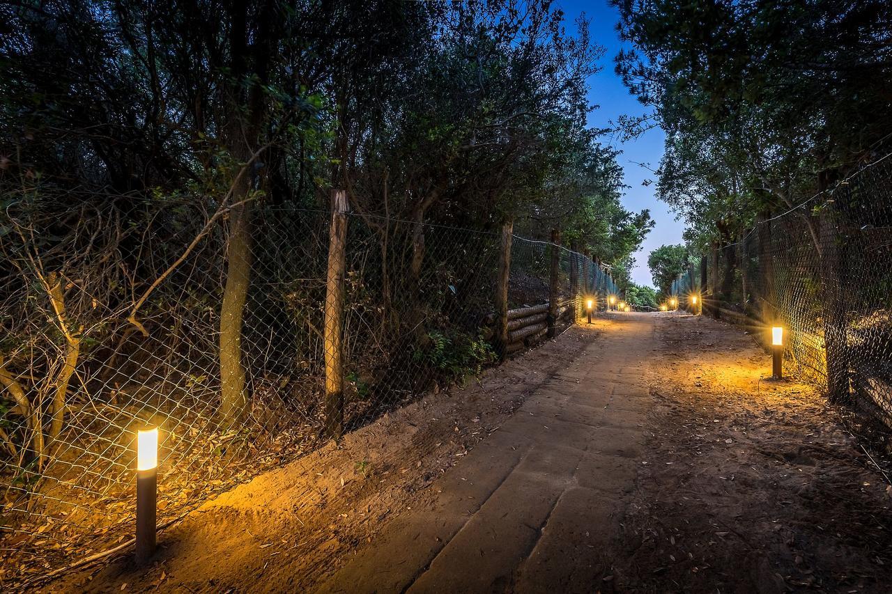 Camping Internazionale Etruria Кастильоне-делла-Пеская Экстерьер фото